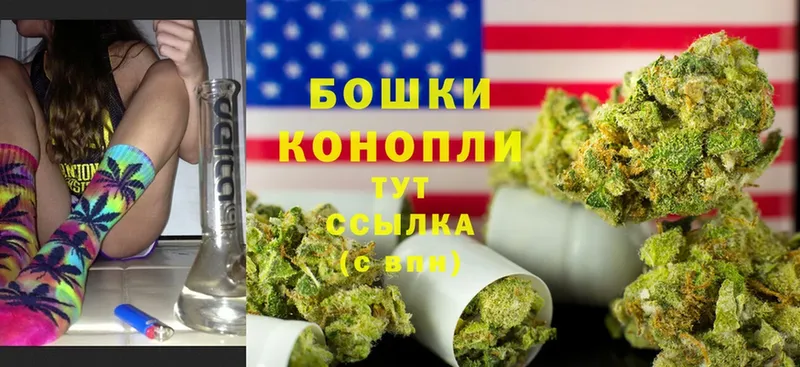 Бошки марихуана SATIVA & INDICA  мега зеркало  Волгореченск  купить  